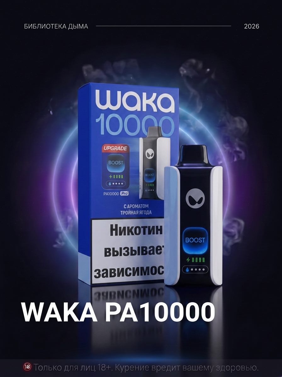 WAKA SoPro PA10000